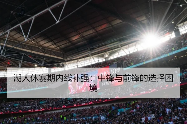 湖人休赛期内线补强：中锋与前锋的选择困境